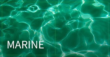 壓力容器資質-海事 壓力容器資質-海事